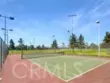 223 Sparkleberry Avenue thumbnail 39