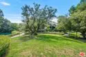 1211 Raintree Circle thumbnail 34