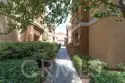 24909 Madison #514 thumbnail 4