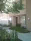 27959 Cactus #B thumbnail 1