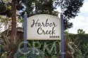 33852 Del Obispo Street #9 thumbnail 40