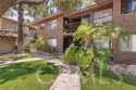 1456 Chalgrove #C thumbnail 5