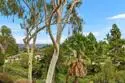 2509 Caminito Muirfield thumbnail 20