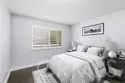 21227 Camelia #18 thumbnail 9