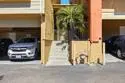 7003 Saranac Street #103 thumbnail 25