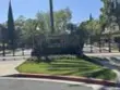 9216 Calmante Lane thumbnail 4