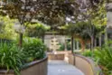 330 Cordova Street #157 thumbnail 20