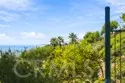 34126 Selva Road #299 thumbnail 65