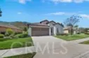 24479 Chamois thumbnail 2