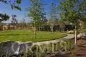57 Silverado thumbnail 57