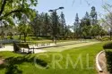 30321 Mayacamas Drive thumbnail 49