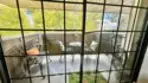 6545 Reseda Boulevard #24 thumbnail 14