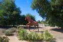 36690 Calle De Lobo thumbnail 63