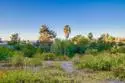 12566 Calle Tamega #108 thumbnail 63