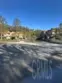 21245 Camelia #27 thumbnail 21