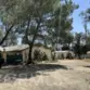 31895 Nicolas thumbnail 15