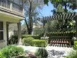 65 Figtree thumbnail 5