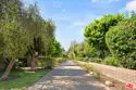 4842 Hollow Corner Road #405 thumbnail 21