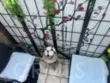 9332 Van Nuys Boulevard #56 thumbnail 7