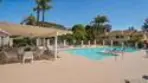 7806 Camino Tranquilo thumbnail 37