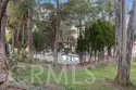 42761 Juniper thumbnail 54