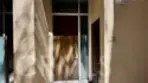 133 N The Promenade #107 thumbnail 24