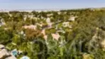 21256 Camelia thumbnail 33