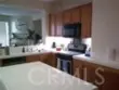 27959 Cactus #B thumbnail 6