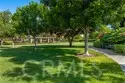 3216 Carrotwood thumbnail 47