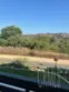 27086 Via Caminata thumbnail 1