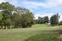 27707 Mountain Meadows Road #49 thumbnail 3