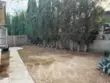 13930 Olive Grove Lane thumbnail 11