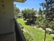 6267 Caminito Juanico thumbnail 11