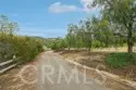 38075 Via Majorca thumbnail 59