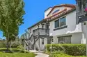17 Aubrieta thumbnail 2
