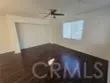 31141 Black Maple #56 thumbnail 2