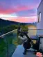 6208 Tapia Drive #A thumbnail 10