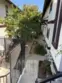 149 S Avenue 54 #13 thumbnail 20
