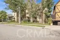 445 Ivy #204 thumbnail 7
