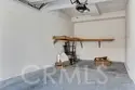 5 Cinnamon Teal thumbnail 27
