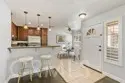 21227 Camelia #18 thumbnail 3