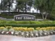30291 Mondavi Circle thumbnail 43