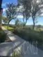21245 Camelia #27 thumbnail 19
