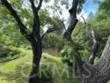7050 Shoup #221 thumbnail 33
