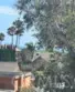 3401 E 1st Street #5 thumbnail 23