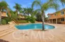 33721 Verbena thumbnail 38