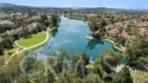 39 Pomelo thumbnail 31