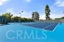 18 Laurel thumbnail 17