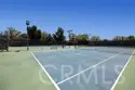 306 Orange Blossom thumbnail 18