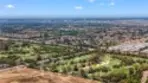 96 Rose Arch #26 thumbnail 43